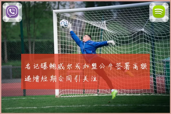 名记曝鲍威尔或加盟公牛签署高额递增短期合同引关注