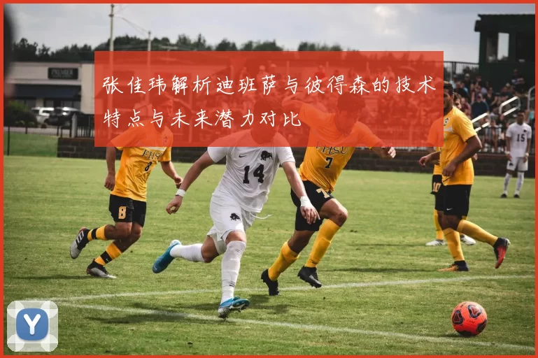 张佳玮解析迪班萨与彼得森的技术特点与未来潜力对比